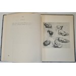 Leonardo da VINCI - FAIRY TALES, translated by L. STAFF, 1928 edition, Illustrations