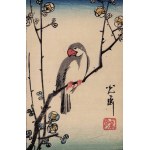 Ippitsusai Buncho, A Gray Rice Bird on a Blooming Plum Tree, 1917