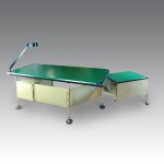 B.B.P.R. - Desk with drawer unit from the "Spazio Modernista" series for Olivetti