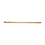 SWORD CANE IN BAMBOO SHAFT WITH ETCHED AND GILDED BLADE | WESTERN EUROPE