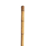 SWORD CANE IN BAMBOO SHAFT WITH ETCHED AND GILDED BLADE | WESTERN EUROPE