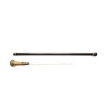 SWORD CANE WITH TAXIDERMY SCORPION IN HANDLE | WESTERN EUROPE (FRANCE / GERMANY)