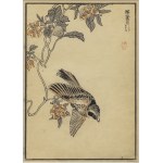 KŌNO BAIREI 幸野 楳嶺 (1844 - 1895) | BIRD FLYING TO CLIMBING FLOWERS (MIYAMA HOJIRO) FROM THE BAIREI KACHŌ GAFU SERIES (JAPAN / JAPANESE)