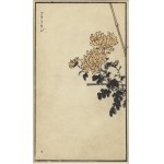 KŌNO BAIREI 幸野 楳嶺 (1844 - 1895) | SONGBIRD ON BLOOMING CHRYSANTHEMUMS (KŌRAUN) FROM THE BAIREI KACHŌ GAFU SERIES (JAPAN / JAPANESE)