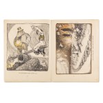 FRANTIŠEK KUPKA (1871 – 1957) | CYKLUS „L'ARGENT“ (PENIAZE), L'ASSIETTE AU BEURRE Č. 41 (1902) (ČESKÝ / ČESKÝ)
