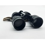 Binoculars for monitoring air raids
