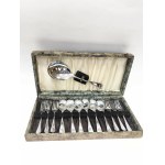 Chrome-plated dessert cutlery set in a box for 6 people