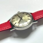 Titus Men's Watch, 34 mm