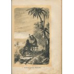 DEFOE, Daniel—The Adventures of Robinson Crusoe. Adapted for Polish children from the best sources by Władysław Ludwik Anczyc [1870]