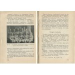 NEKRASZ, Władysław - Scouts in Battle: A Contribution to the Participation of Polish Youth in the Struggle for the Homeland’s Independence, 1914–1921. Part Two [1931]