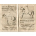 KRANE Friedrich von - Koń i powóz. Kompletny podręcznik dotyczący ich wyboru, utrzymania i użytkowania (Pferd und Wagen. Vollständige Unterweisung über deren Auswahl, Erhaltung und Benutzung) [1860-1861]