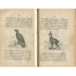 ELJASZ-RADZIKOWSKI Walery - Ilustrowany przewodnik do Tatr, Pienin i Szczawnic [wydanie pierwsze 1870]