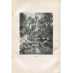 SZAFER, Władysław - At the Threshold of the Sahara: Impressions from a Trip to Tunisia in the Spring of 1924 [1925] [AUTOGRAPH AND DEDICATION TO JÓZEF ROSTAFIŃSKI]