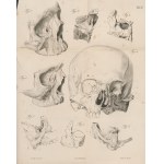GRUBER Wenzel - Monografia nowo opisanej, prawidłowej, odrębnej kości twarzy człowieka ossiculum canalis naso-lacrymalis (Монографія новой, нормальной и самостоятельно существующей кости лица человѣка) [1850]