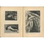 Katalog ilustrowany wystawy sztuki współczesnej we Lwowie 1894 [załączone 2 bilety wstępu na wystawę, z kuponami do Pawilonu Jana Matejki]