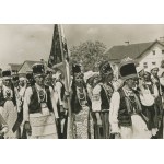 Zobacz podobne