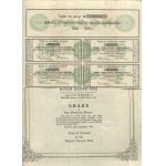 Warsaw Discount Bank. Shares worth 100 zlotych with coupons [1926]