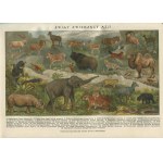The Illustrated Encyclopedia by Trzaska, Evert, and Michalski, featuring numerous maps, tables, and illustrations within the text. Edited by Dr. Stanisław Lam [1928] [deluxe binding by Introligatornia Artystyczna]