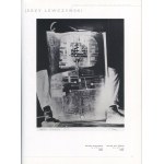 A Visual Gesture in Photography from the Collection of Dariusz and Krzysztof Bieńkowski [2005] [DŁUBAK, HILLER, SCHLABS, THEMERSON]