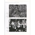 A Visual Gesture in Photography from the Collection of Dariusz and Krzysztof Bieńkowski [2005] [DŁUBAK, HILLER, SCHLABS, THEMERSON]