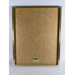 Gold Record for THE PRODIGY for selling over 50,000 pieces of the album EXPERIENCE - PL1025