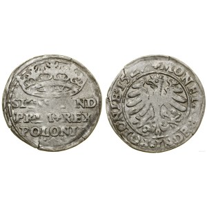 Polska, grosz, 1527, Kraków
