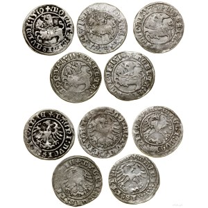 Poland, set of 5 x half-grosz, 1510, 1511, 1512, 1514, and a counterfeit from Vilnius