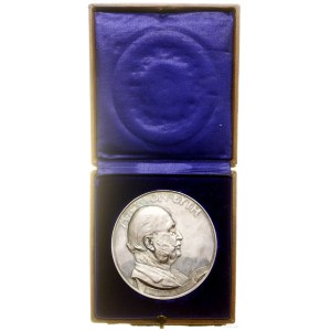 Germany, commemorative medal, 1910