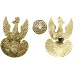 Poland, Eagle for a Cap (COPY)