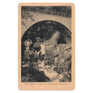 The Tatra Mountains. The bridge in Roztoka above the Mickiewicz Waterfalls