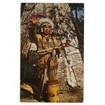 Native American (Blue Cloud)