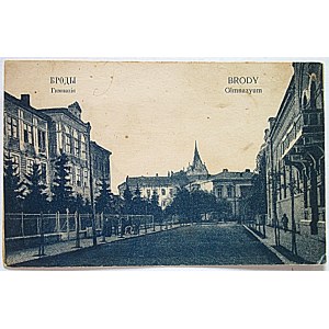 BRODY. Junior High School. Published by Władysław Kocyan in Brody. Date of issue: 1915 (postmark). Bluish tint