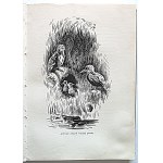 ANNA LEWICKA. Tra i nostri prati e boschi. Immagini dalla vita degli animali. Seconda edizione. Varsavia 1938. Ed. J...