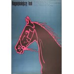 Mieczysław WASILEWSKI - The Most Beautiful Horse - 1978