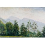 Irena WEISS - ANERI (1888–1981), Mountain Landscape