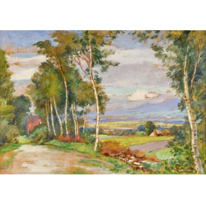 Stanisław ŻURAWSKI (1889–1976), Podhorská krajina