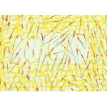 Teresa Tyszkiewicz (1953 Ciechanów - 2020 Paryż, Francja), Bonne Année!, 1999