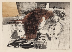 Anna Sobol-Wejman (ur. 1946), 