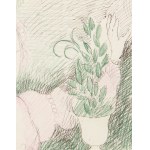 Marie Laurencin (1883–1956), Lady in Pink