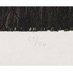 Monika Pietsch (b. 1960), Dragon, 1988