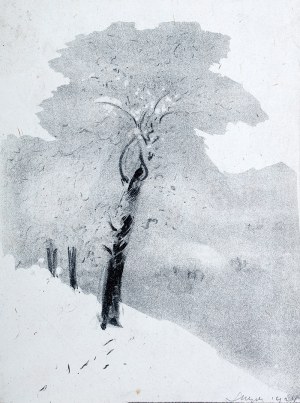 Leon Wyczółkowski (1852 Huta Miastkowska k. Garwolina - 1936 Warszawa), Oszronione drzewo, 1924 r.