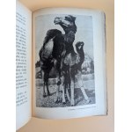 Jan ŻABIŃSKI. On the Fierce Lion. With illustrations by Kazimierz Prus. Warsaw, 1949 [Talks broadcast on Polish Radio, 52 photographs, 54 illustrations][Righteous Among the Nations]