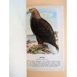 LEGALLY PROTECTED BIRDS - 90 COLOR ILLUSTRATIONS. Warsaw, 1964