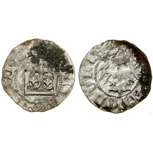 Polska, półgrosz koronny, (1408), Kraków