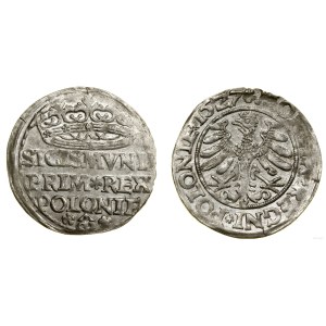 Poland, grosz, 1527, Kraków