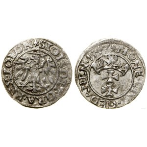 Polska, szeląg, 1547, Gdańsk