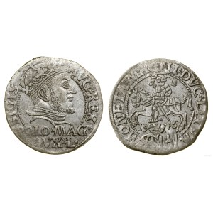Polska, grosz, 1546, Wilno