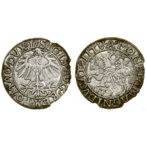 Poland, half-grosz, 1557, Vilnius