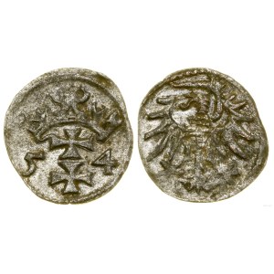 Polska, denar, 1554, Gdańsk