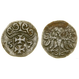 Poland, denar, 1557, Gdańsk